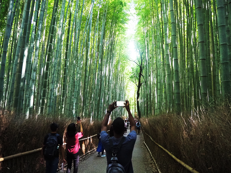 One-day Excursion to Kyoto for International Students (October 16, 2022)