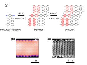 (a) Bottom-up synthesis scheme of 17-AGNR on Au(111), (b) high-resolution STM image, and (c) nc-AFM image of 17-AGNR.