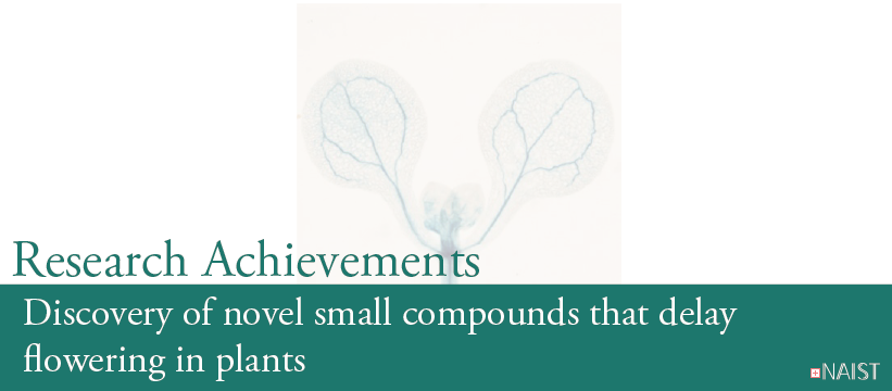 Discovery of novel small compounds that delay flowering in plants