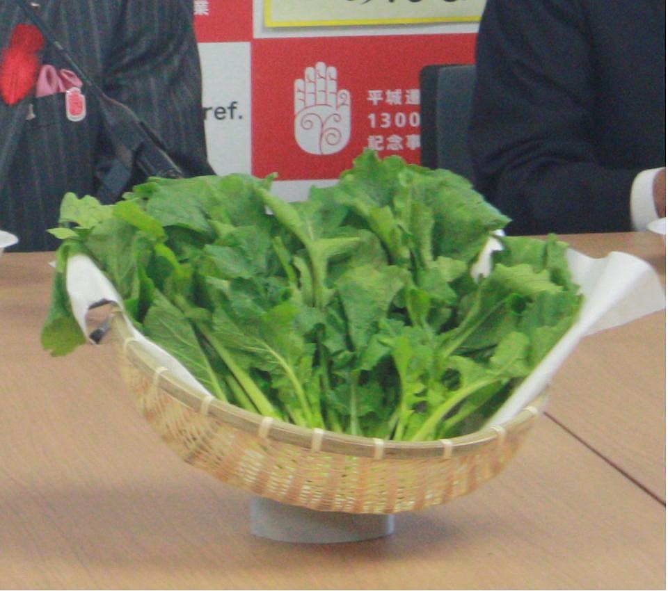 写真：（８）大和真菜（イメージ）