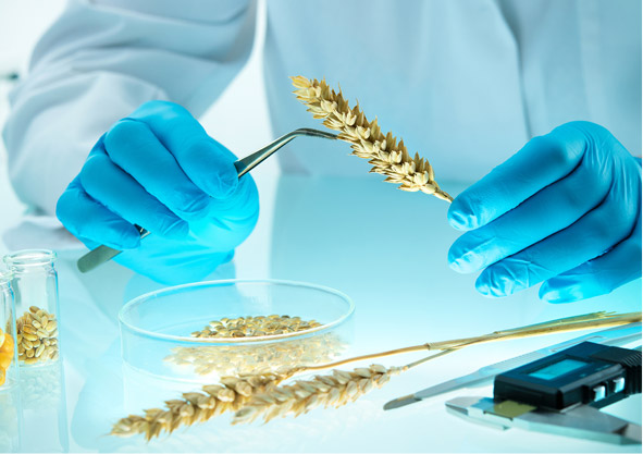 課題創出型共同研究