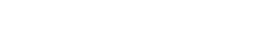 国立大学法人　奈良先端科学技術大学院大学
