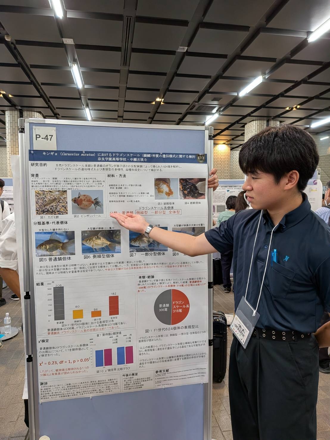 NAIST STELLA プログラム（JST次世代科学技術チャレンジプログラム）受講生が日本動物学会で高校生ポスター賞を受賞