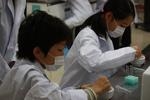 先端科学技術体験プログラム「タンパク質って何？酵素って？光るタンパク質を見てみよう。」を開催（2009/10/25）