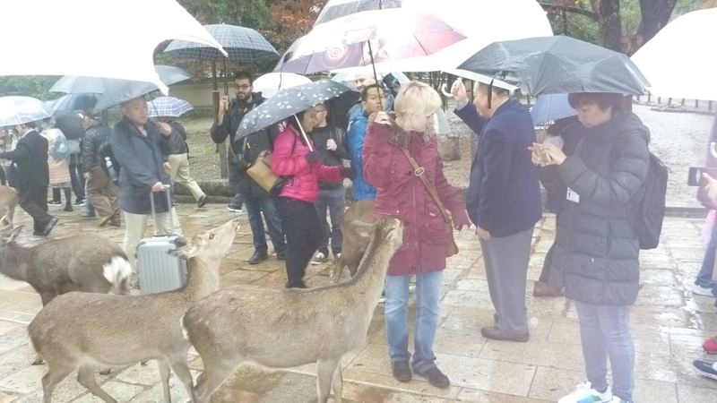 学生の文化活動行事を実施～東大寺、春日大社、奈良国立博物館等～（2016/11/27）