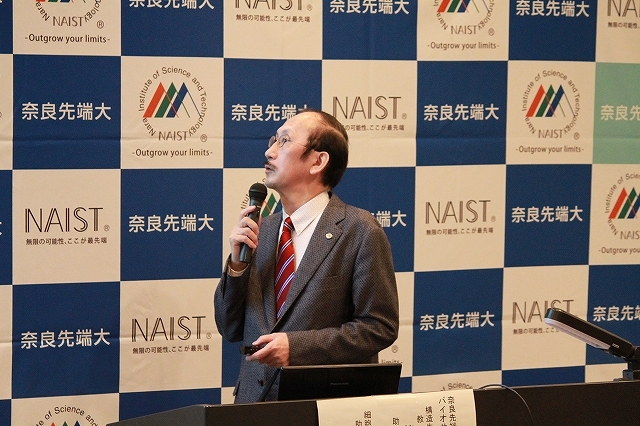 〔プレスリリース〕世界初　植物の根の内部構造を決める起動スイッチの働きを三次元で解明