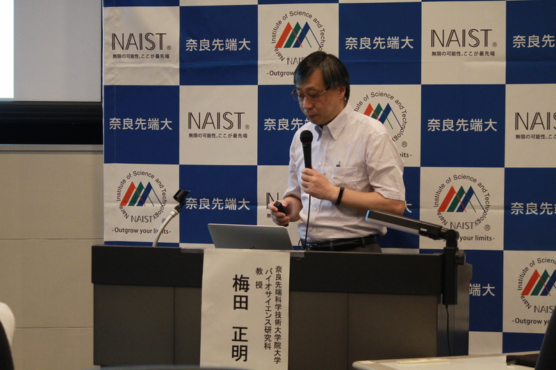 〔プレスリリース〕植物はDNAに傷を負うと成長を一時停止させる仕組みをもっている ～ストレスに自在に対応する新たなメカニズムを解明 食糧や植物バイオマスの増産に期待～