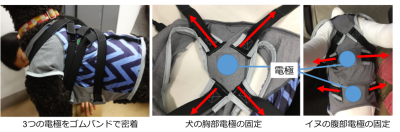 災害救助犬の活性度（情動）を遠隔モニタリングする技術を開発 -サイバースーツに搭載しサイバー救助犬による被災者捜索活動を支援-
