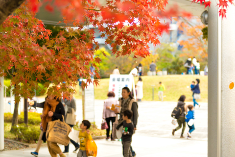 オープンキャンパス2017を開催（2017/11/12）