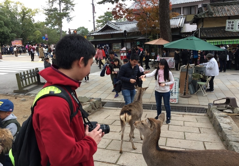 学生の文化活動行事を実施〜東大寺・春日大社・奈良国立博物館ツアー〜（2017/11/26）