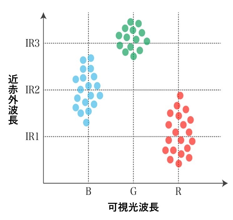 〔プレスリリース〕ぶれない、まぶしくない、自撮りできる小型眼底カメラシステムを開発 ～毛細血管もとらえる眼底網膜像で在宅ヘルスケア応用に期待～
