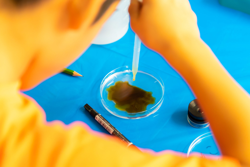 オープンキャンパス2018を開催（2018/11/11）