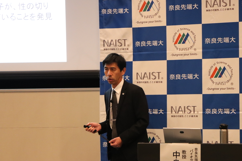 〔プレスリリース〕ゼニゴケは遺伝子のオモテとウラを使って メスとオスを作り分けている ～性差を生み出す巧妙な「裏ワザ」が明らかに～