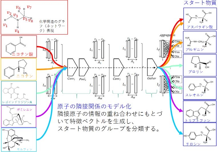〔プレスリリース〕化学構造を手掛かりにしたデータサイエンスの手法で、 天然物化合物の生合成経路の予測に成功！ 有機分子の特性や薬剤設計の研究への活用期待