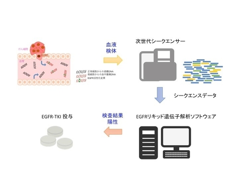 〔プレスリリース〕血液中の肺がん遺伝子異常を調べる高感度技術を開発、承認申請へ 超高速の次世代遺伝子解析を使い、微細な変化を検出 ～患者に優しい遺伝子検査でがんの精密医療を推進する～