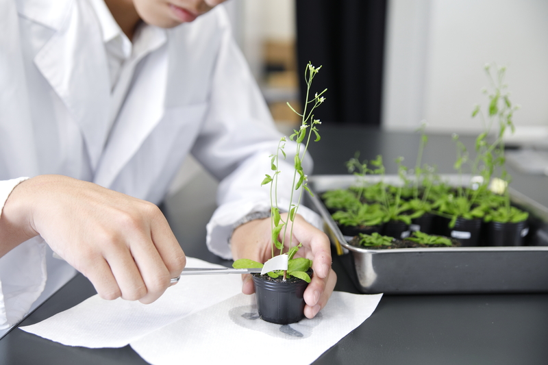 SSHラボステイを実施（2019/8/1～8/30）