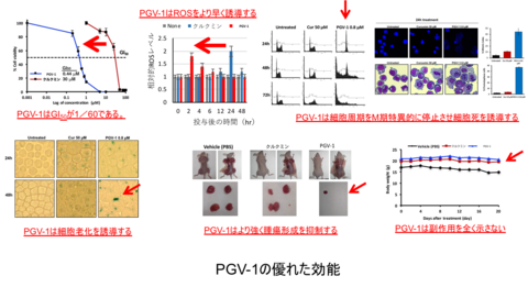 〔プレスリリース〕クルクミンの抗腫瘍効果を60倍以上高めた化合物を開発 ～副作用のない飲む抗がん剤の開発に期待～