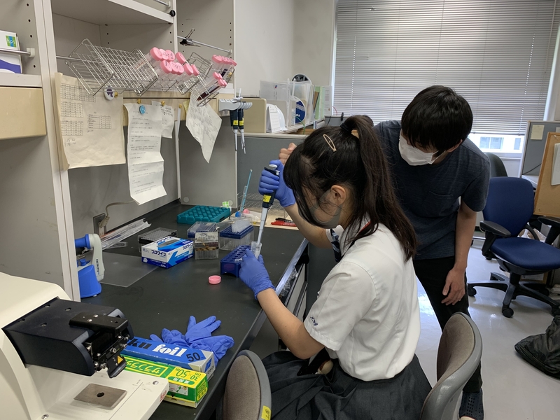 SSHラボステイを開催（2020/8/3～8/19）