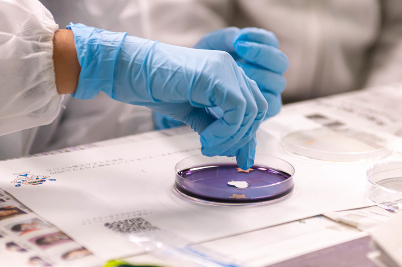 オープンキャンパス2020を開催（2020/11/15）