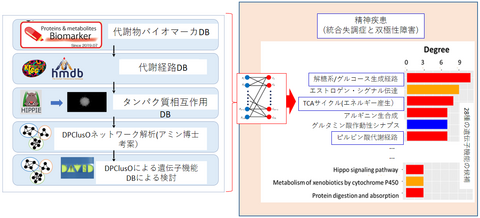 〔プレスリリース〕大規模データベースを解析し、精神疾患のバイオマーカー発見をめざす： 発症時の原因探索にも役立つ独自のデータサイエンスの手法を開発