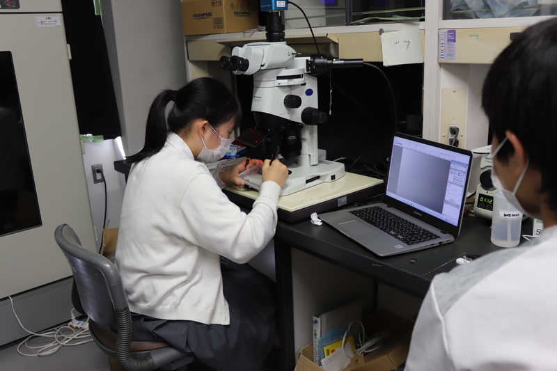 SSHラボステイを実施（2021/8/2～8/10）