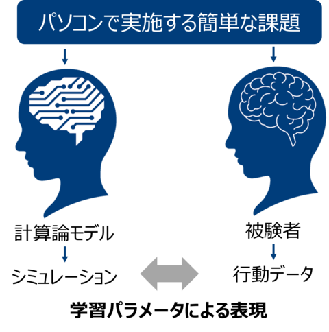 【プレスリリース】強迫症のメカニズムを解明 ～不安を伴う繰り返し行動を生み出す計算論モデルを確立、 治療の最適化に応用可能～