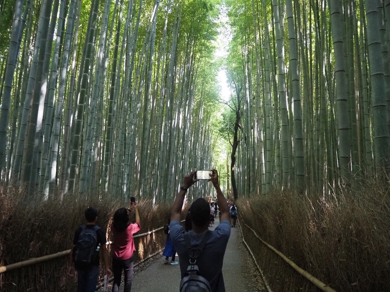 留学生見学旅行を実施(2022/10/16)