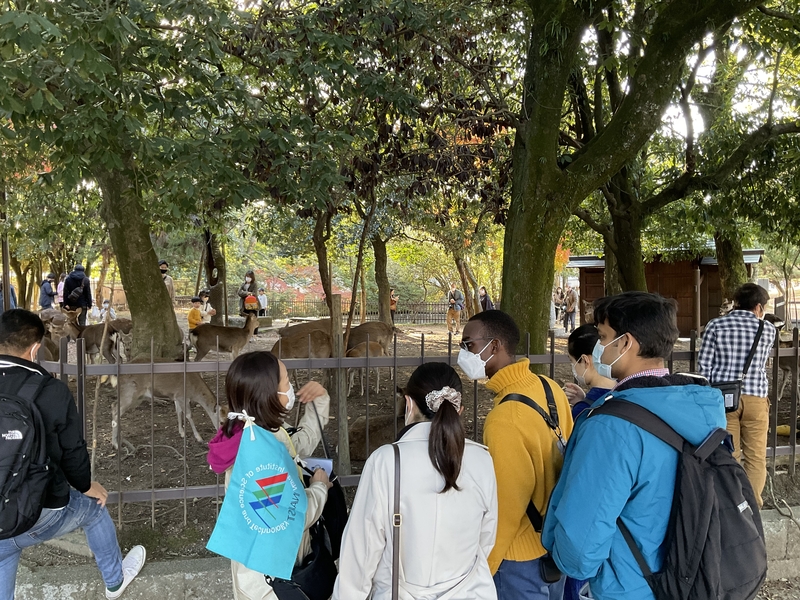 奈良公園ツアーを実施(2022/11/27)