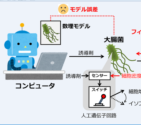 【プレスリリース】微生物とコンピュータが協力するハイブリッドな バイオプロセス制御システムを開発 医薬品、食品、化学材料などの有用物質生産への応用に期待