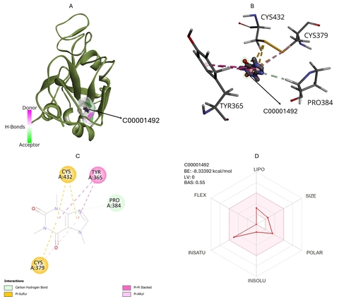 【プレスリリース】新型コロナウイルスのヒト感染時に働くタンパク質を阻害する天然物の探索手法を開発 カフェインの有効性を証明 自然の多様な化合物からなる安全性のある創薬に期待