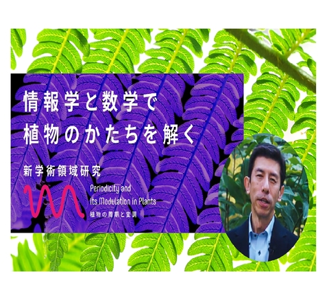 バイオサイエンス領域の中島敬二教授が代表を務めた新学術領域研究「植物の周期と変調」の成果と活動を紹介するYoutubeチャンネルを公開（2025/5/26）
