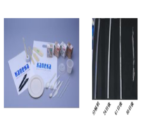 【プレスリリース】世界初、生分解性プラスチック原料PHAの合成酵素の全体構造を解明 ～環境配慮型素材開発の鍵：PHA生産向上でプラスチックごみ問題の解決に期待～