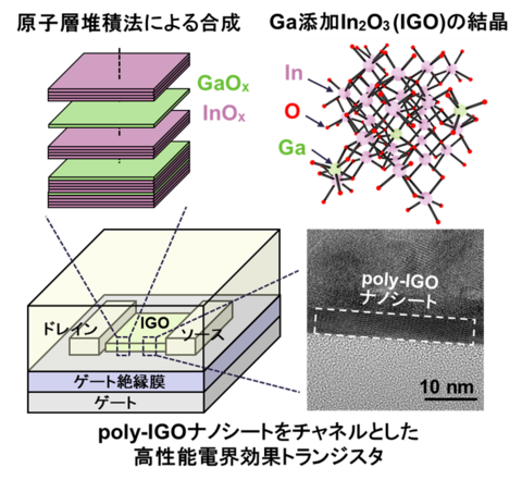 【プレスリリース】次世代半導体デバイス向け高性能/高機能な多結晶酸化物半導体材料 poly-IGO ナノシートを開発 ～次世代半導体の高性能化・高集積化・低消費電力化に期待～