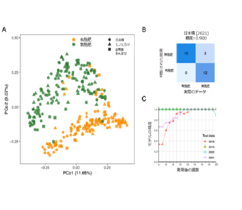 【プレスリリース】無施肥・無農薬でも高収量！ ～イネの根に住む微生物の4年にわたる調査、データ解析により、 持続可能な稲作の実現に結びつく細菌共生の変化の様子を明らかに～