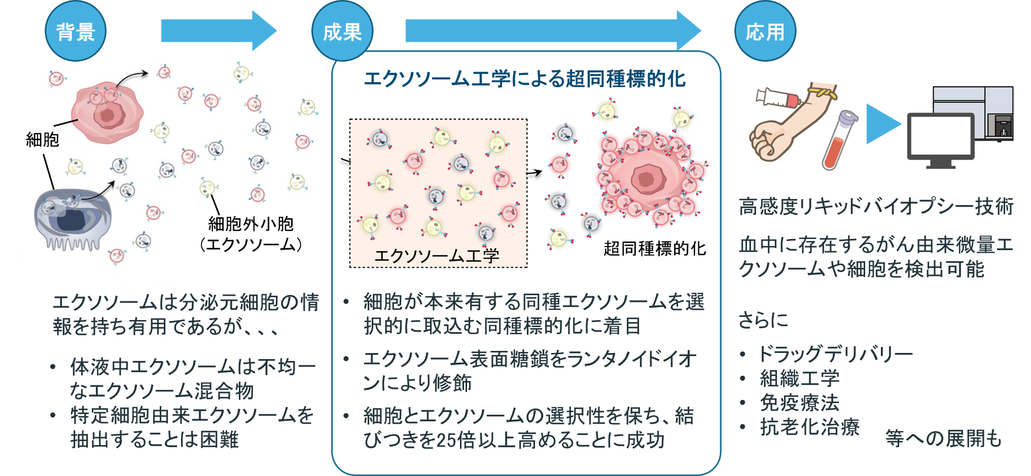 エクソソーム工学で細胞機能を飛躍的に増幅 ――がん検出、ドラッグデリバリー、抗老化への展開に期待――