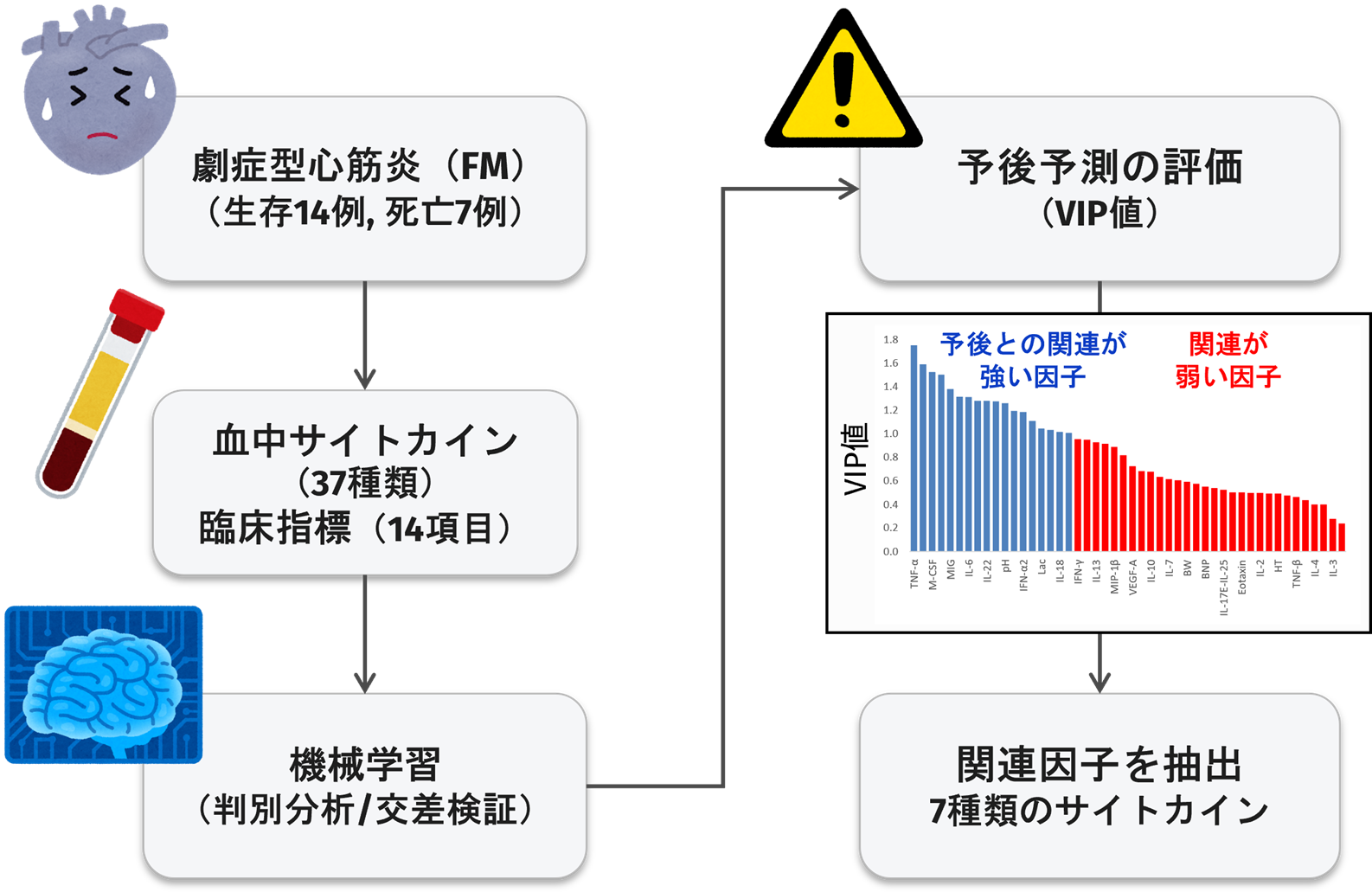 血中サイトカイン情報から 小児心筋炎の病態を予測する機械学習モデルを開発 ― サイトカイン情報と機械学習によって予後予測に重要な因子を抽出 ―