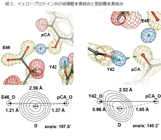 admin_68641fe5cadb6bb5447a68e8ba46abe5_1231140401_.jpg