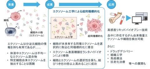 エクソソーム工学で細胞機能を飛躍的に増幅 ――がん検出、ドラッグデリバリー、抗老化への展開に期待――