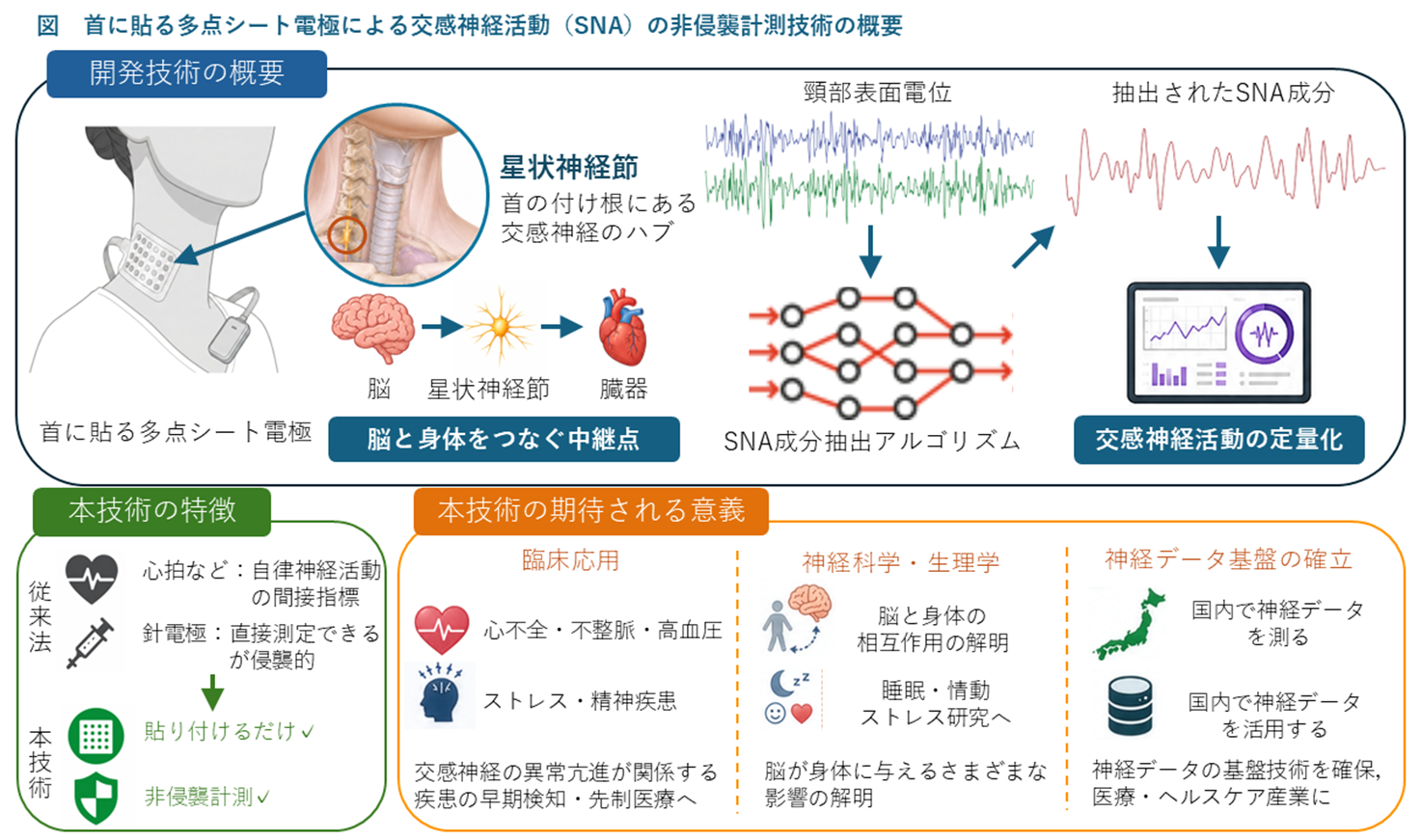 ⾸に貼る多点シート電極による⾮侵襲的な交感神経活動計測技術を開発へ〜NEDO 先導研究プログラム／フロンティア育成事業に採択〜