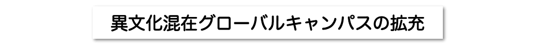 異文化混在グローバルキャンパスの拡充